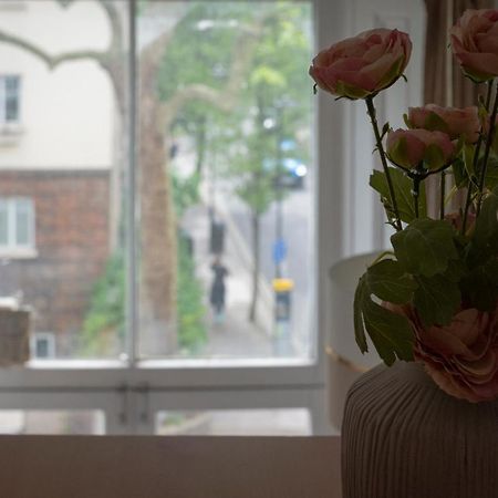Superb Studios Next To Hyde Park London Exteriör bild